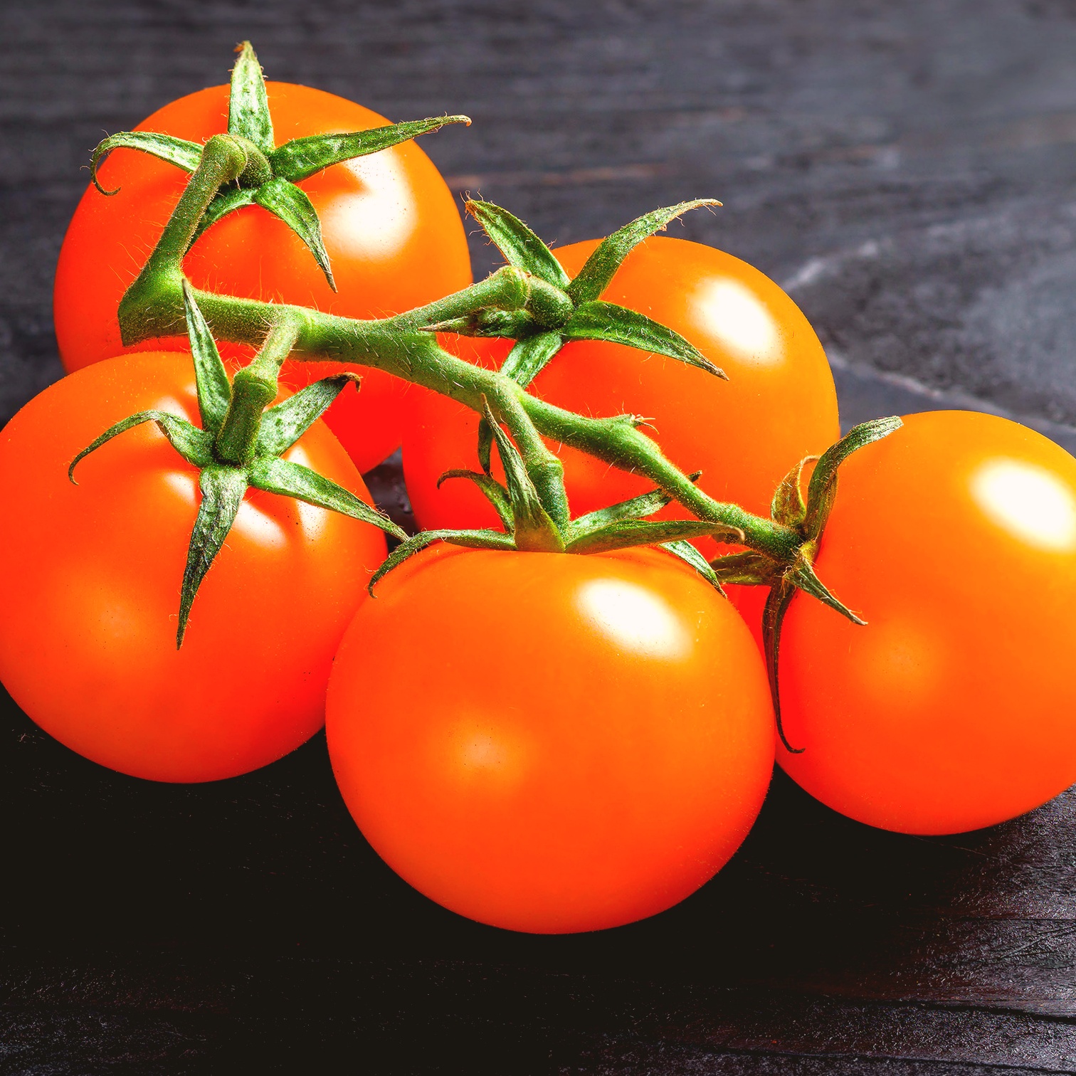 Sungold tomater